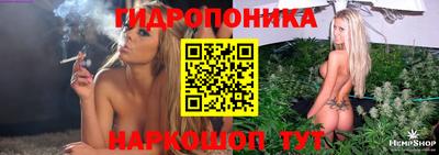 дживик Можга