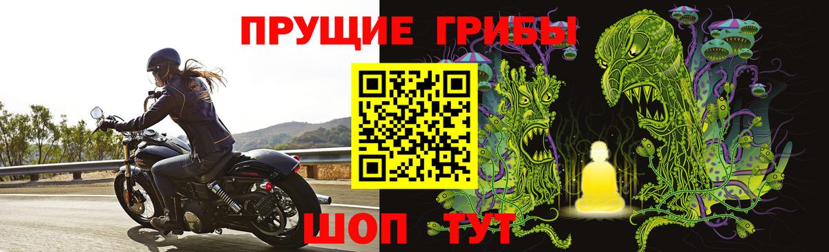 Псилоцибиновые грибы GOLDEN TEACHER Тара