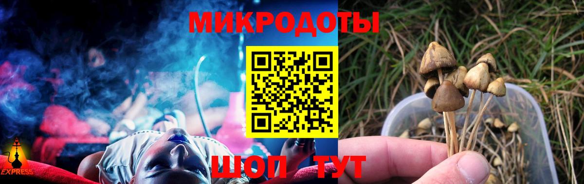 Псилоцибиновые грибы Psilocybine cubensis  Галлюциногенные грибы мухоморы  Тара  Вход с VPN 