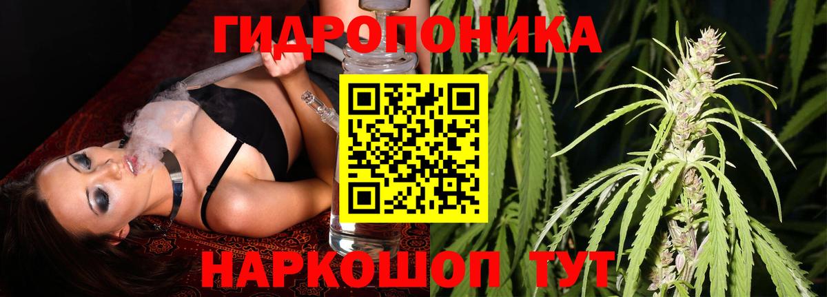 Шишки марихуана THC 21% Тара