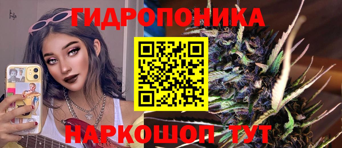 Конопля план  Конопля марихуана  Тара  Вход с VPN  Шишки марихуана SATIVA & INDICA  Каннабис LSD WEED 